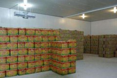 蔬菜水果批发市场保鲜冷库建造案例