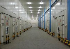 江西万年农业科技园保鲜冷库建造案例
