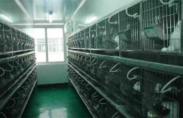 动物实验室工程好做吗?