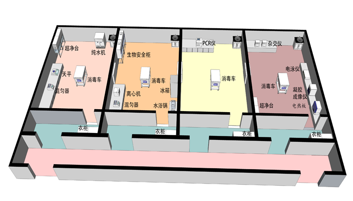 PCR基因扩增实验室